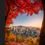 MOBILE WALLPAPER OF SUNSET IN SEOUL